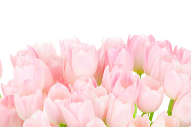 Similar image 202226