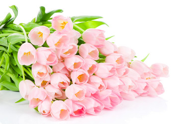 Similar image 202227