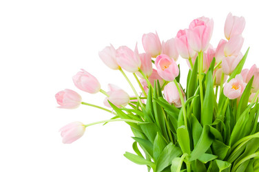 Similar image 202228