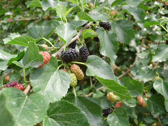 Similar image 202232