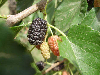 Similar image 202233