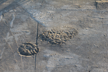 Similar image 202235