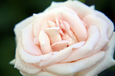 Similar image 202236