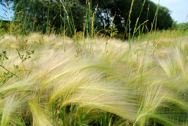 Similar image 202251