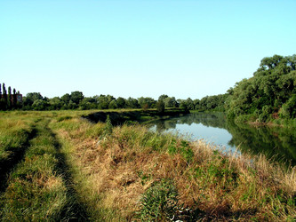 Similar image 202255