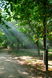 Similar image 202256