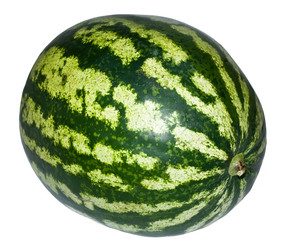 Similar image 202269