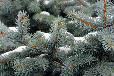 Similar image 202271