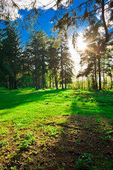 Similar image 202281