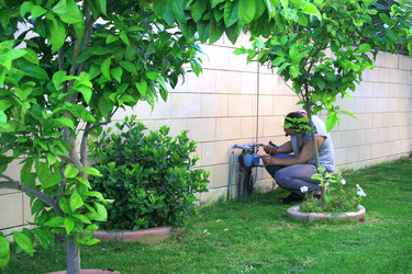 Similar image 202311