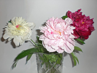 Similar image 202450