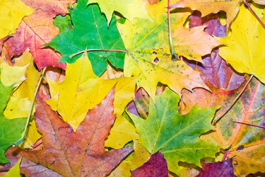 Similar image 202540