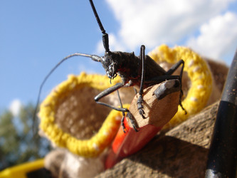 Similar image 202569