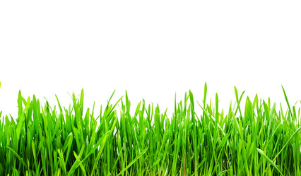 Similar image 202614