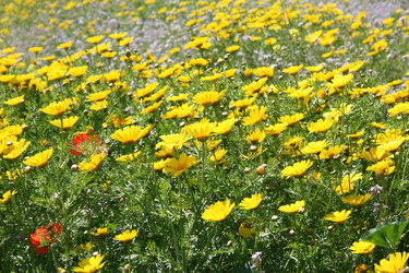 Similar image 202705