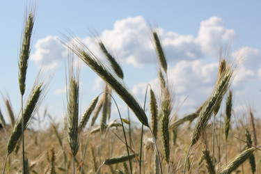 Similar image 202717