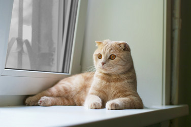 Similar image 202734