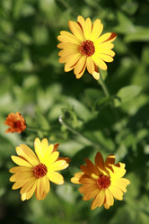 Similar image 202795