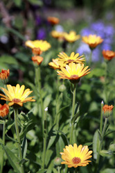 Similar image 202799