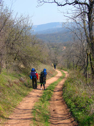 Similar image 202800