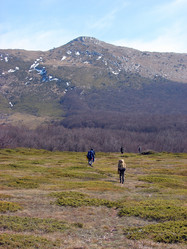 Similar image 202801