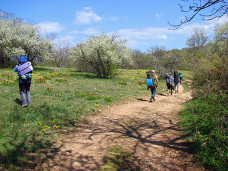 Similar image 202802