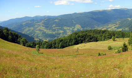 Similar image 202810