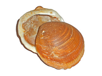 Similar image 202846