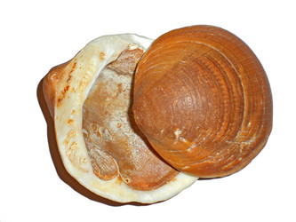 Similar image 202849