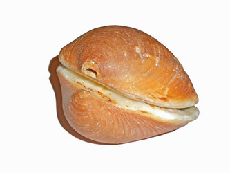 Similar image 202852