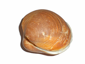 Similar image 202854