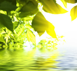 Similar image 202856