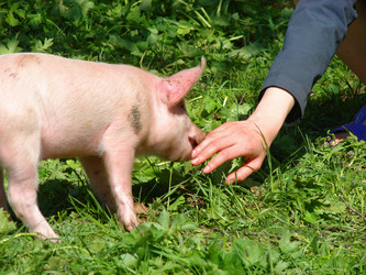 Similar image 202860