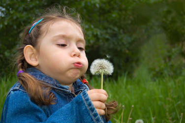 Similar image 202864