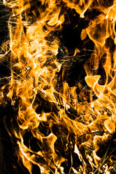 Similar image 202873