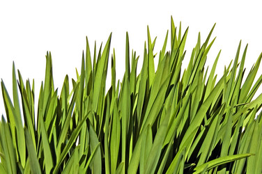 Similar image 202885