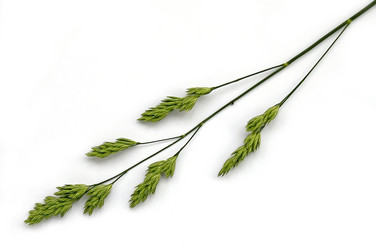 Similar image 202895