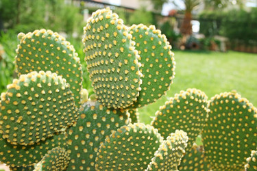 Similar image 202913