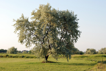 Similar image 202922