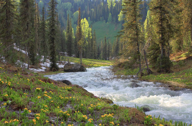 Similar image 202951