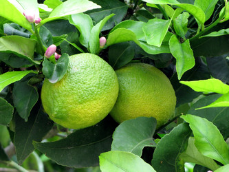 Similar image 203059