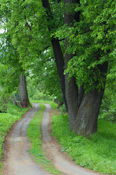 Similar image 203071