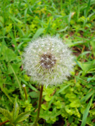 Similar image 203129