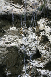 Similar image 203133