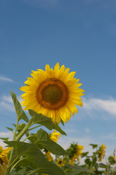 Similar image 203169