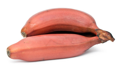 Similar image 203181