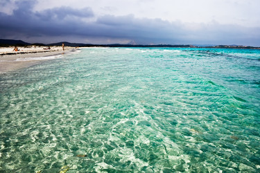 Similar image 203195