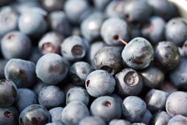 Similar image 203209