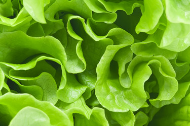 Similar image 203210