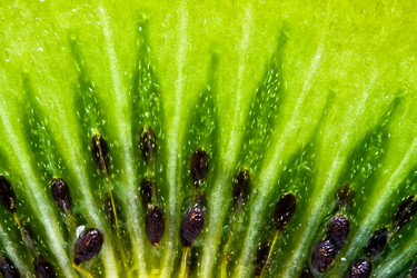 Similar image 203216